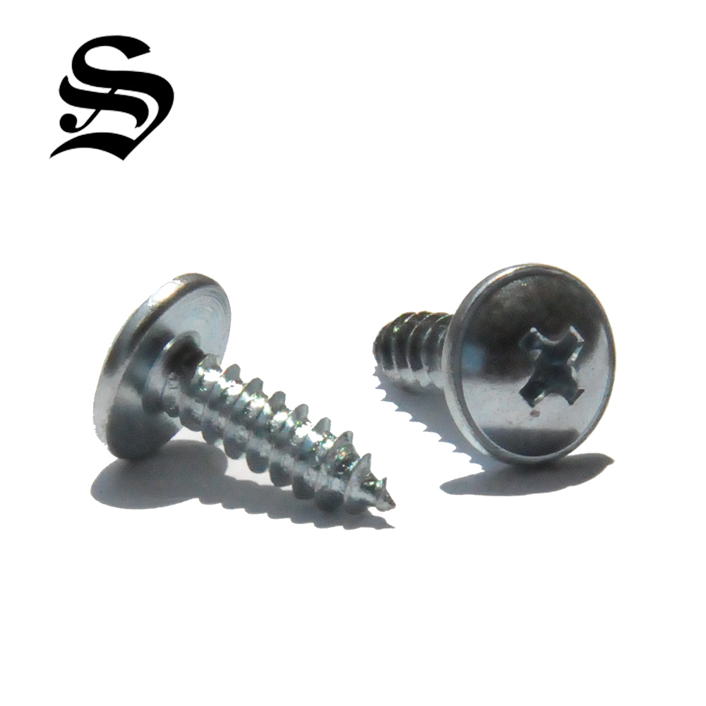 Truss Head Self Tapping Screws SJ-200144